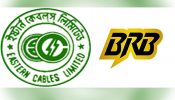বিআরবির কাছে পরিচালক পদ ছাড়বে না ইস্টার্ন কেবলস