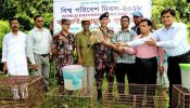 শ্রীমঙ্গলে বিশ্বপরিবেশ দিবস পালন