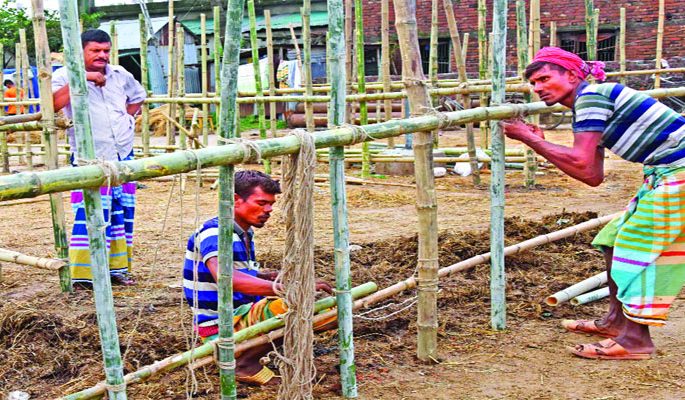 ঈদুল আজহাকে সামনে রেখে কোরবানির পশুর হাটে চলছে জোর প্রস্তুতি