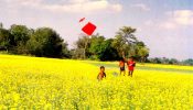 জিএম শাহাবুদ্দিন’র কবিতা রূপের যাযাবর