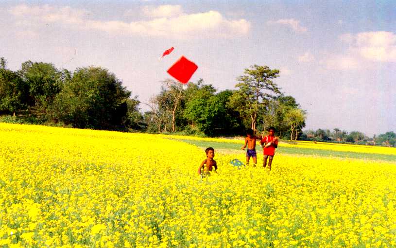 জিএম শাহাবুদ্দিন’র কবিতা রূপের যাযাবর