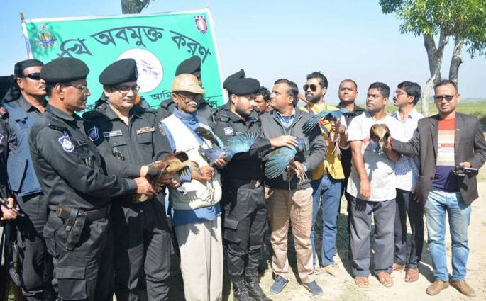 হাইল হাওরে পরিযায়ী পাখি  অবমুক্ত