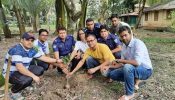 শ্রীমঙ্গলে উপজেলা প্রেসক্লাবের উদ্যোগে বৃক্ষরোপন কর্মসূচী