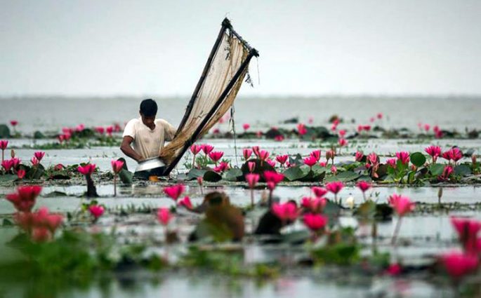 দেশের তৃতীয় রামসার সাইট হচ্ছে হাকালুকি হাওর!