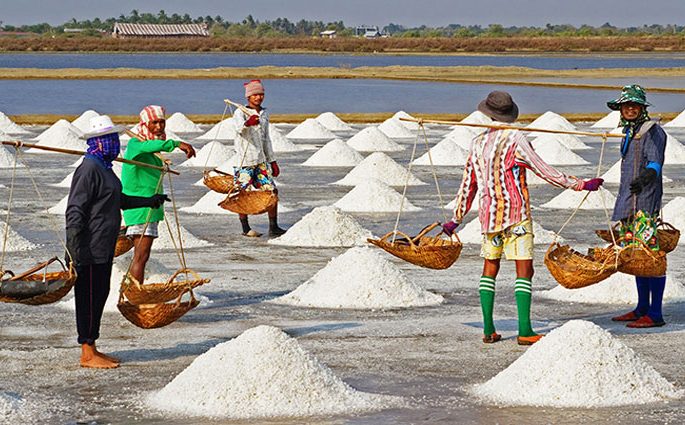 দেশে পর্যাপ্ত লবণ রয়েছে, গুজবে কান না দেয়ার আহ্বান
