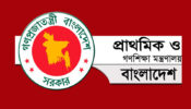 সেপ্টেম্বরে স্কুল খুললে যেভাবে পিইসি পরীক্ষা হবে