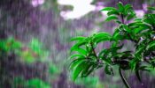বৃষ্টি থাকবে আরো ২ দিন