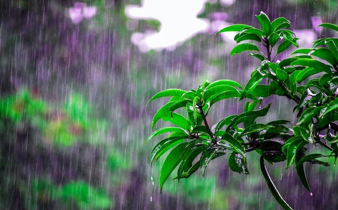বৃষ্টি থাকবে আরো ২ দিন