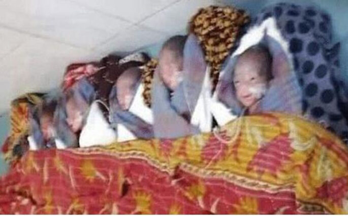 কুমিল্লায় একসঙ্গে পাঁচ নবজাতকের জন্ম