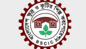 বরাদ্দ ৪৫ ভাগ প্লটেই শিল্পপ্রতিষ্ঠান নেই