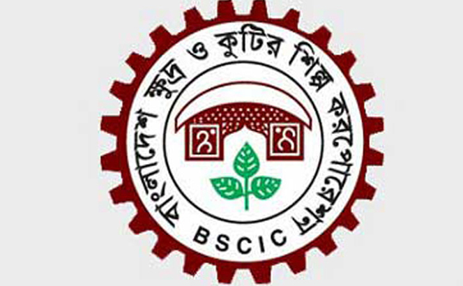 বরাদ্দ ৪৫ ভাগ প্লটেই শিল্পপ্রতিষ্ঠান নেই