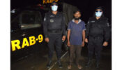 শ্রীমঙ্গলে র‌্যাবের অভিযানে তক্ষকসহ একজন আটক,