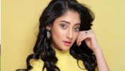 মোটা হয়ে গেলে সিনেমাই ছেড়ে দেবো: পূজা চেরি