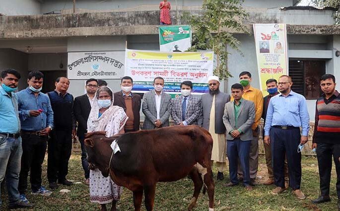 শ্রীমঙ্গলে প্রধানমন্ত্রীর অর্থায়নে ক্ষুদ্র নৃ- জাতি গোষ্টীর মাজে ৪৮টি গাভী গরু বিতরণ।