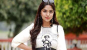 প্রধানমন্ত্রীর চরিত্রে থাকছেন না হিমি