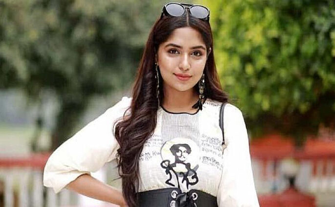 প্রধানমন্ত্রীর চরিত্রে থাকছেন না হিমি