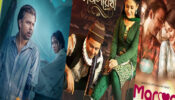ভালোবাসা দিবসে নিশোর ১৪ নাটক, ১২টির বিপরীতে মেহজাবিন