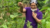 কী কী চাষ করছেন ফেরদৌস