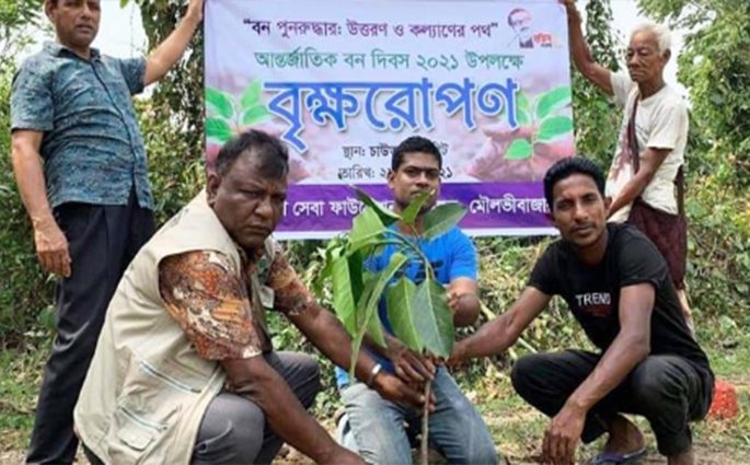 শ্রীমঙ্গলে পালিত হল আন্তর্জাতিক বন দিবস।