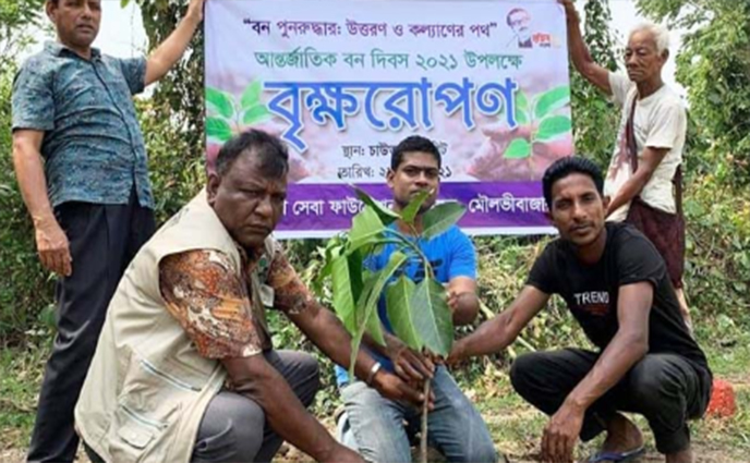 শ্রীমঙ্গলে পালিত হল আন্তর্জাতিক বন দিবস।