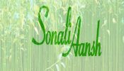 সোনালী আঁশের মুনাফায় বড় পতন