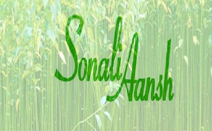 সোনালী আঁশের মুনাফায় বড় পতন