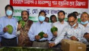 ৭ বছর পর আবারও পান রফতানি শুরু ইউরোপে