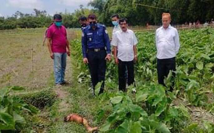 শ্রীমঙ্গলের মীর্জাপুরে পৃথক পৃথক স্থান থেকে টুকরো করা মানুষের হাত পা উদ্ধার