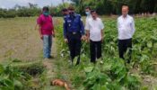 শ্রীমঙ্গলে হাত ও পায়ের ১দিন পর মিললো বডি মাথা খুঁজছে পুলিশ