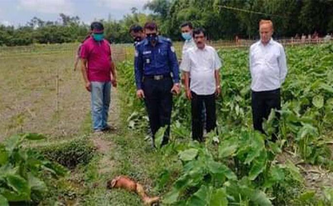 শ্রীমঙ্গলে হাত ও পায়ের ১দিন পর মিললো বডি মাথা খুঁজছে পুলিশ