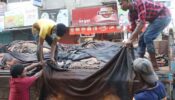 অনুমতি পেল ৫ প্রতিষ্ঠান, ওয়েট-ব্লু চামড়া রফতানির