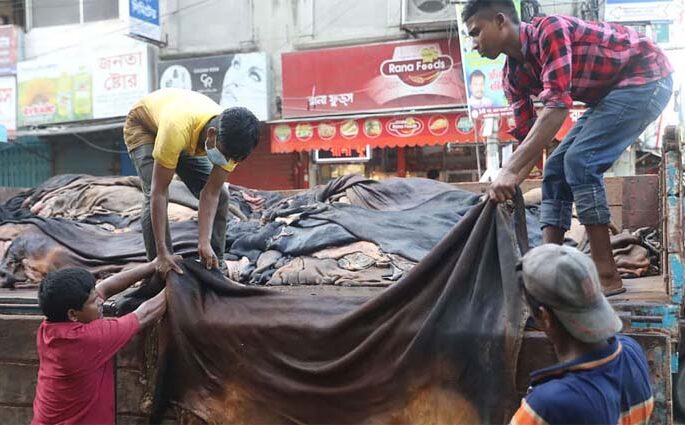 অনুমতি পেল ৫ প্রতিষ্ঠান, ওয়েট-ব্লু চামড়া রফতানির