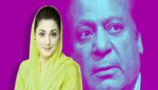 নওয়াজকন্যা মরিয়ম করোনায় আক্রান্ত