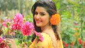 গাড়িতেই মাথা ঘুরে পড়ে যান পরীমনি