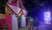 মহাসমারোহে দাদি – নাতির বিয়ে