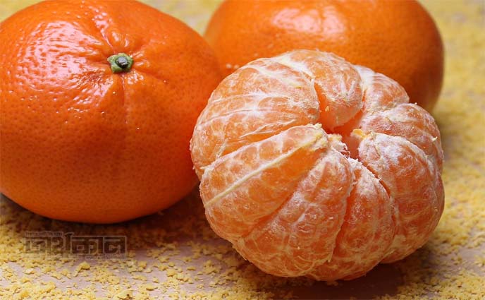 কোন কোন ফলে প্রোটিন পাবেন?