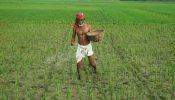এক লাখ টন সার কিনছে সরকার