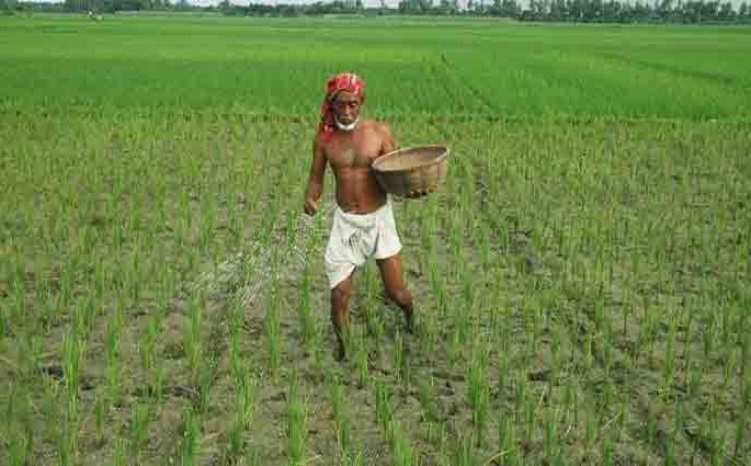 এক লাখ টন সার কিনছে সরকার