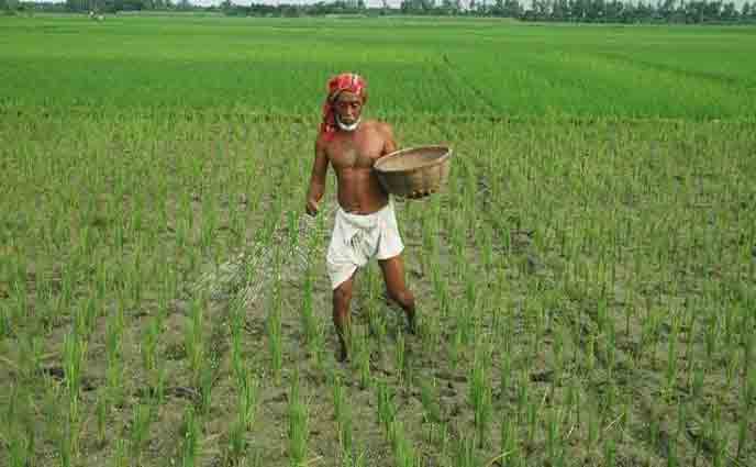 এক লাখ টন সার কিনছে সরকার