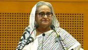 ‘সব ইতিহাস থেকেই বঙ্গবন্ধুর নাম মুছে ফেলার চেষ্টা করা হয়েছিল’