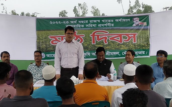 শ্রীমঙ্গলে বিনা সরিষা -৯ জাতের  মাঠ দিবস অনুষ্ঠিত ,