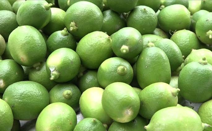 লেবুর হালি ৮০ টাকা