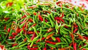 কাঁচা মরিচের কেজি ৫০০ ছুঁই ছুঁই