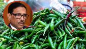 কাঁচা মরিচের দাম বাড়া নিয়ে যা বললেন ওবায়দুল কাদের