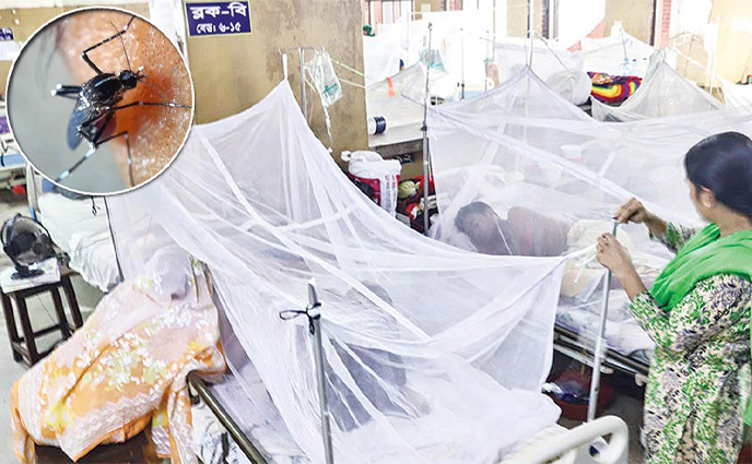 ডেঙ্গুতে মৃত্যু তিনশ ছাড়াল
