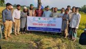 হবিগঞ্জে ব্রি ধান ৯৫ এর আশানুরুপ ফলন