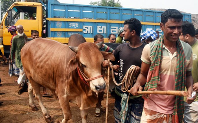 কোরবানির পশুর গাড়ি আটকে চাঁদাবাজি : ৫ পুলিশ সদস্য বরখাস্ত