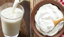 দই না কি ঘোল, কোনটা খেলে বেশি উপকার পাবেন?