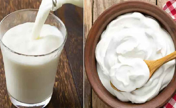 দই না কি ঘোল, কোনটা খেলে বেশি উপকার পাবেন?