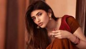 এবার বলিউডে দেখা যাবে শ্রীলিলাকে